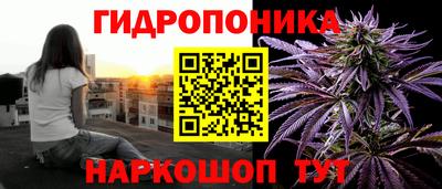 apvp Коммунар