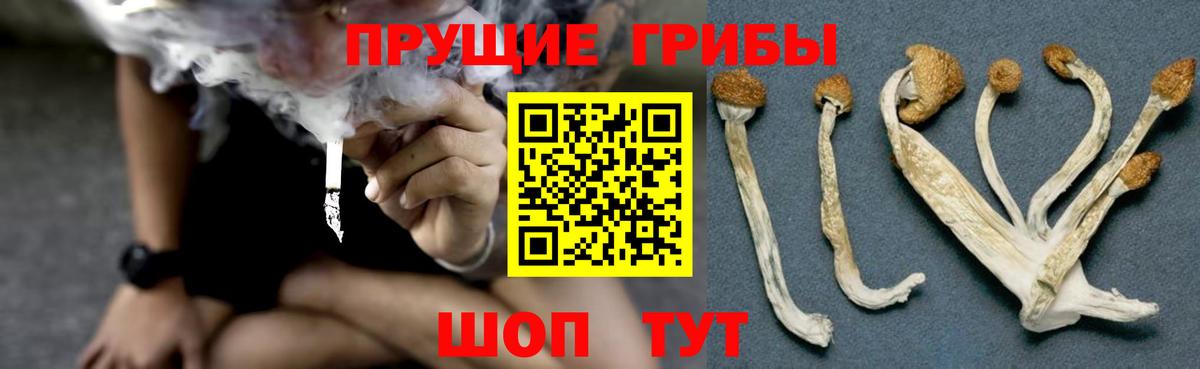 Псилоцибиновые грибы Magic Shrooms Кострома