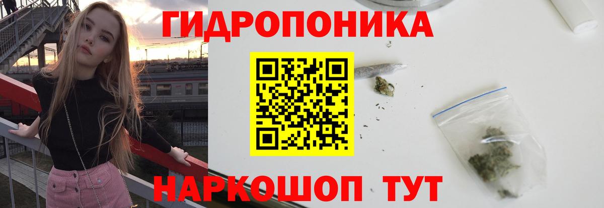 Конопля Ganja  Бошки Шишки сатива  Вход с VPN  Кострома  Конопля OG Kush 